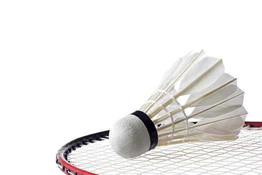 完成赛季目 完成赛季目