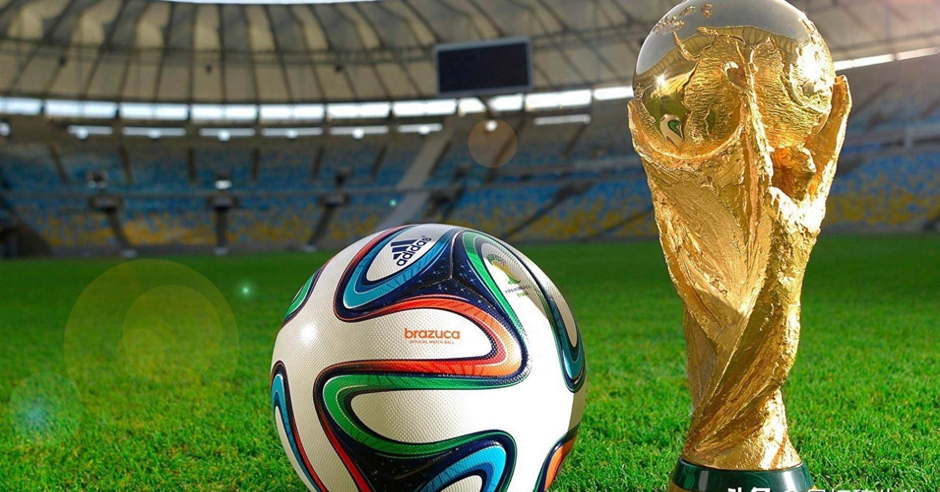 进一步增强 进一步增强