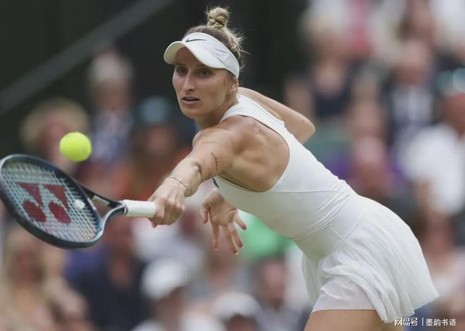 相同的球员 相同的球员