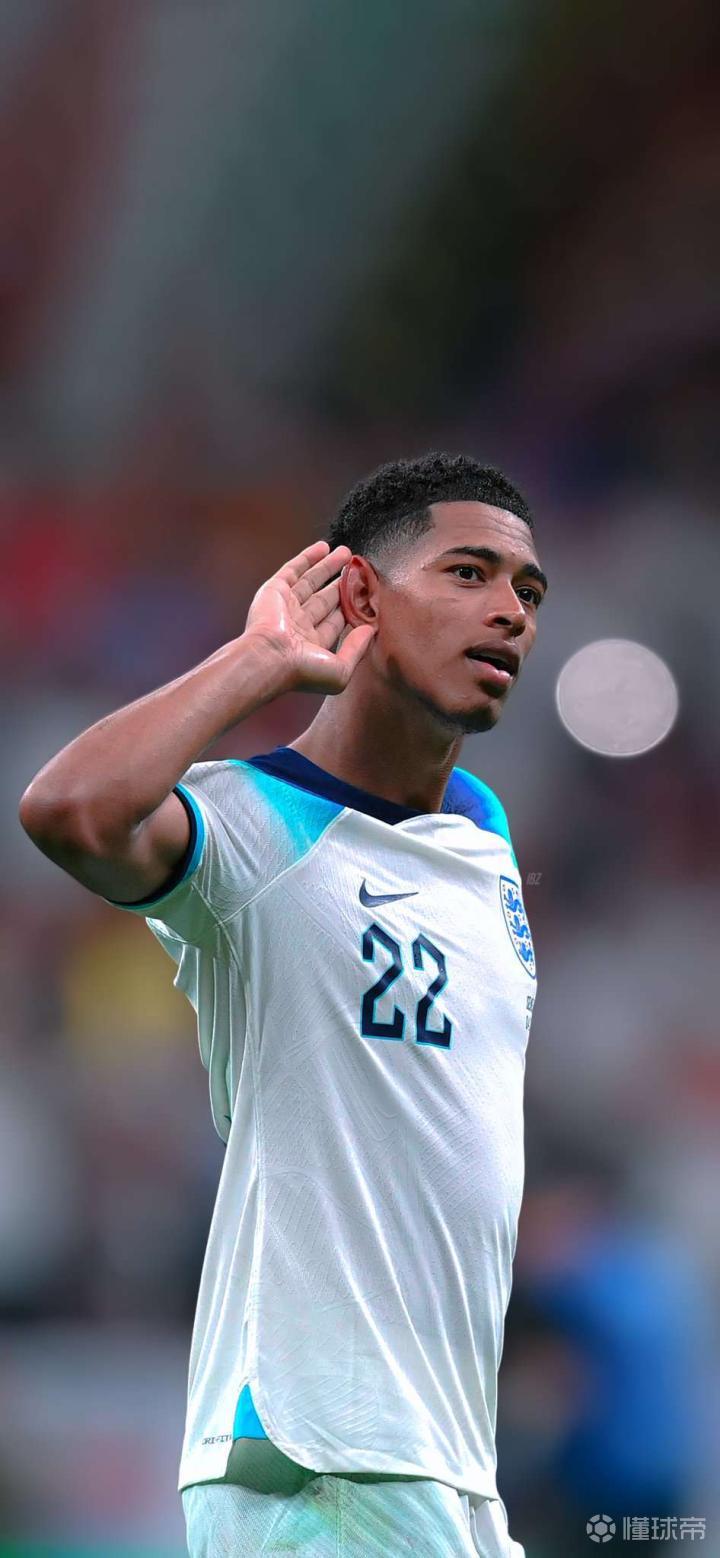 阵米兰这类 阵米兰这类